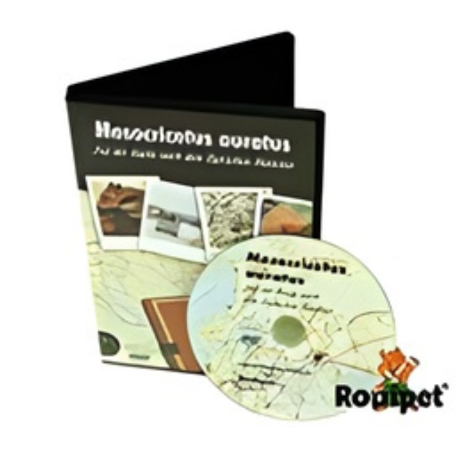 DVD - Mesocricetus auratus