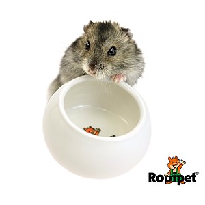 Rodipet® Keramiknapf o 5.5 cm