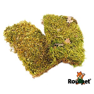 Rodipet® Plattenmoos 2 Stück mit je 10x18cm