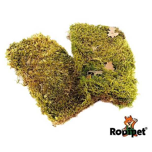 Rodipet® Plattenmoos 2 Stück mit je 10x18cm